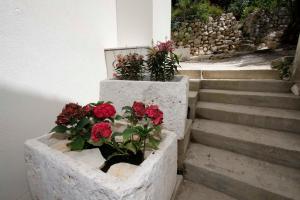 Fotografie z fotogalerie ubytování Apartmani Rustica v destinaci Drasnice