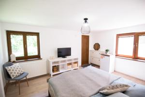 Televízia a/alebo spoločenská miestnosť v ubytovaní Apartmán Albert v Spa dedinke