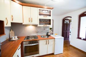 Kuchyňa alebo kuchynka v ubytovaní Apartmán Albert v Spa dedinke