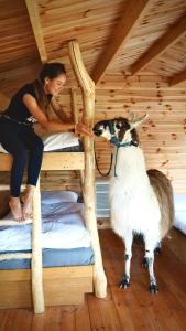 Gallery image of Cozy wood hut on the farm in Třebívlice +25 photos