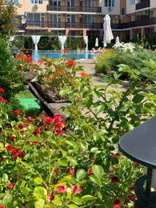 アヘロイにあるApartcomplex Chateau Aheloyの赤い花の庭園、スイミングプール