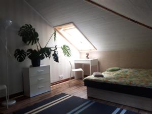 een slaapkamer met een bed en een raam met een plant bij FAZENDA - Przytulne pokoje na krańcu świata in Krynki