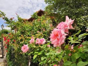 Afbeelding uit fotogalerij van Hotel rural Los Manzanos in Rascafría