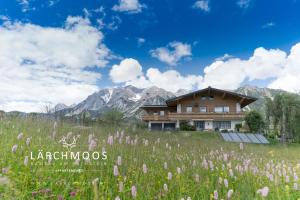 a house in the mountains with a field of flowers at Appartements Lärchmoos in Ramsau am Dachstein