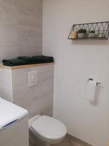 a white bathroom with a toilet and a shelf at L'Echevine en vercors in Échevis