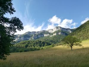 a tree in a field with mountains in the background at L'Echevine en vercors in Échevis