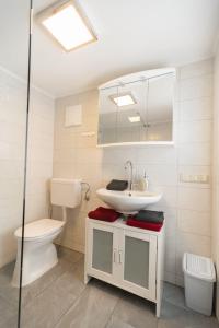 a bathroom with a sink and a toilet at Helgas Ferienwohnung in Gleinstätten