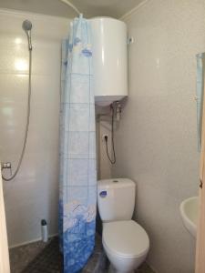 a small bathroom with a toilet and a shower at Котедж "МАГУР" in Bukovets