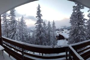 een balkon met uitzicht op een met sneeuw bedekt bos bij La Rosière Montvalezan,pieds des pistes,résidence le Vanoise in La Rosière