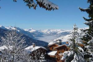 un lodge de esquí en la nieve en una montaña en La Rosière Montvalezan,pieds des pistes,résidence le Vanoise, en La Rosière