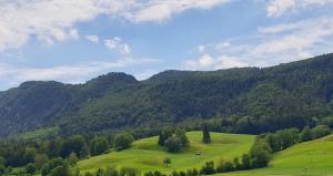 Paesaggio naturale nelle vicinanze dell'hotel