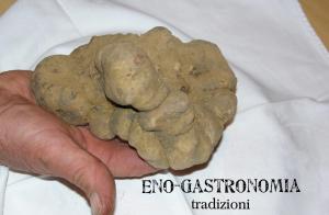 Fotografia z galérie ubytovania Bed & Tours Dimora di campagna v destinácii Castelnuovo Belbo