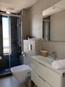 a bathroom with a toilet and a sink and a shower at Aticos Concepción Centro in Córdoba +35 photos