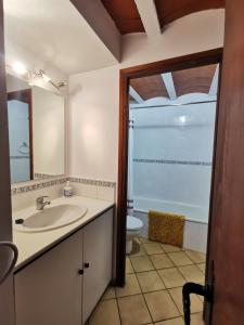 a bathroom with a sink and a toilet at Lo Raconet in Sant Llorenç de Montgai