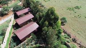 an overhead view of a group of houses with trees at Lilac Hideaway in Karatu