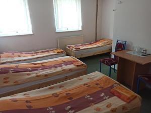 Postel nebo postele na pokoji v ubytování Gościniec Silver