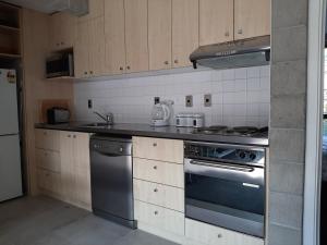 a kitchen with a stove and a sink at City Apartment in Christchurch