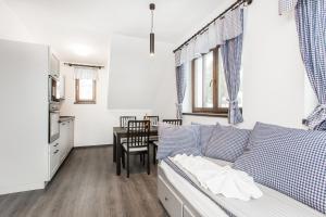 Kuchyň nebo kuchyňský kout v ubytování Apartmany Na Salasi
