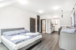 Postel nebo postele na pokoji v ubytování Apartmany Na Salasi