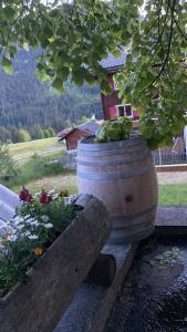 Zahrada ubytování Gasthaus Edelweiss
