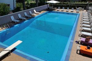una grande piscina blu con sedie a sdraio e sidro di Hotel Rosalba a San Mauro a Mare