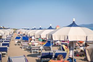 a group of chairs and umbrellas on a beach at Hotel Perla in Castiglione della Pescaia