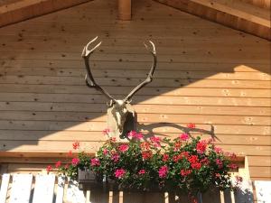 Fotografie z fotogalerie ubytování Alpenlodge Kirchbach v destinaci Kirchbach
