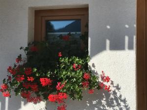 Zahrada ubytování Alpenlodge Kirchbach