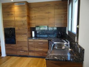 エンゲルベルクにあるApartment Appartment 8 by Interhomeのキッチン(木製キャビネット、ステンレス製のシンク付)