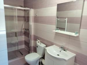 a bathroom with a toilet and a sink and a shower at CASA GABI'S in Orşova