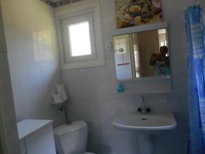 a person taking a picture of a bathroom with a toilet and sink at Appartement Vallée de Luchon in Salles-et-Pratviel +7 photos