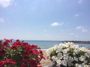 una playa con flores rojas y blancas y el océano en Lustforlive, en Odessa
