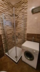 ein Bad mit einer Dusche und einer Waschmaschine in der Unterkunft Matanovi Dvori in Slavonski Brod