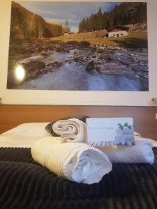 1 cama en una habitación con un cuadro en la pared en Hotel Fantelli, en Folgarida