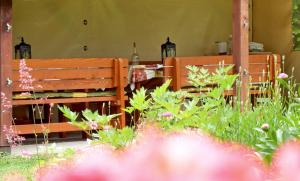 zwei Holzbänke in einem Garten mit Blumen in der Unterkunft Illés Vendégház in Keszthely