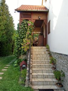 Zahrada ubytování Illés Vendégház