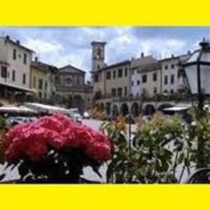 zdjęcie miasta z kwiatami i budynkami w obiekcie Happy Florence Matteotti Square Greve w Greve in Chianti