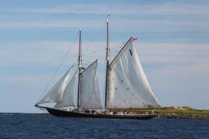 Náttúran í nágrenni hótelsins
