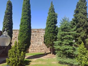 Gallery image of La Casa de la Alcazaba - Free Parking in Merida