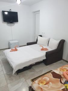 コスティネシュティにあるCasa Bibiのリビングルーム(ベッド1台、ソファ付)