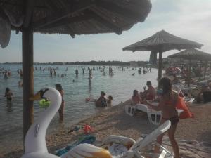 Hostia v ubytovaní Apartman Bunarić