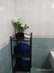una mensola con una pianta in bagno di Lake Resort a Tiberias