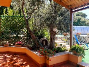 Vonkajšia záhrada v ubytovaní Lomarchi Holiday Home