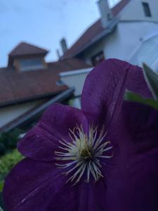 Fotografie z fotogalerie ubytování Gasthof zum Mohrn v destinaci Oberwölz Stadt