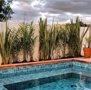 a swimming pool with potted plants on a wall at Vila Gaia Guest House in Alto Paraíso de Goiás