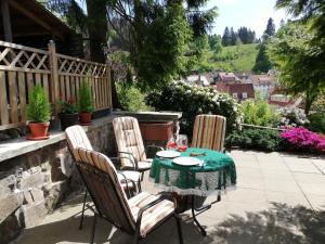 Zahrada ubytování Pension Rheingold Garni