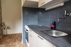 una cocina con fregadero de acero inoxidable y azulejos negros en Apartmán Fraise, en Děčín