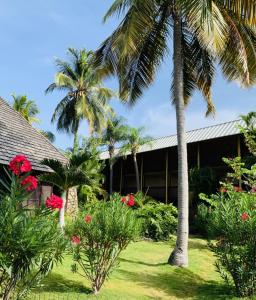 a building with palm trees in front of it at Emerald Beach Resort in Lindbergh Bay