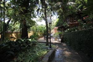 
a park with a tree and some bushes at O Veleiro Bed and Breakfast in Rio de Janeiro
