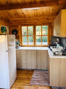 a kitchen with a white refrigerator and a sink at Happy Glamping Cy in Ayios Theodhoros
